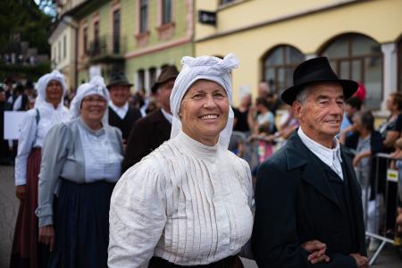 Izjemen obisk zaznamoval 50. Dneve narodnih noš in oblačilne dediščine v Kamniku (Blaž T. Muc)  (76)